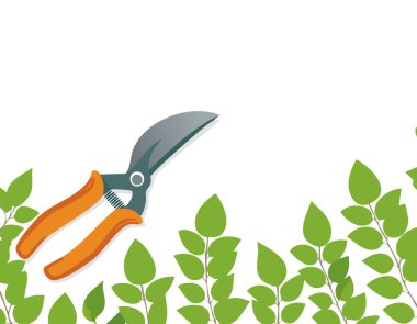 Beyaz arka planda budama makası, kopyalama alanı, ev bahçesi teması