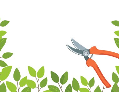 Beyaz arka planda budama makası, kopyalama alanı, ev bahçesi teması