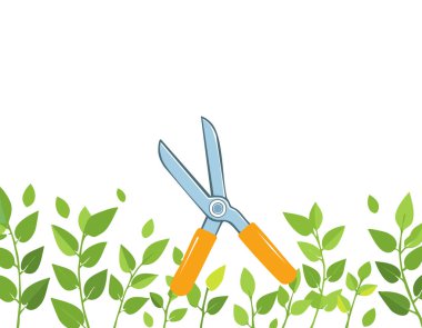 Beyaz arka planda budama makası, kopyalama alanı, ev bahçesi teması