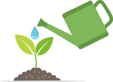 Tohumlama konsepti, genç bitkilerin beyaz arka planlarını sulama