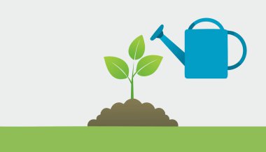 Tohumlama konsepti, genç bitkilerin beyaz arka planlarını sulama