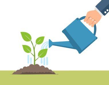 Tohumlama konsepti, genç bitkilerin beyaz arka planlarını sulama