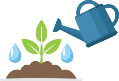 Tohumlama konsepti, genç bitkilerin beyaz arka planlarını sulama