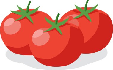 Beyaz arka planda izole edilmiş taze domates taşıyıcısı. Yakın plan..