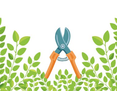 Beyaz arka planda budama makası, kopyalama alanı, ev bahçesi teması