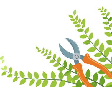 Beyaz arka planda budama makası, kopyalama alanı, ev bahçesi teması