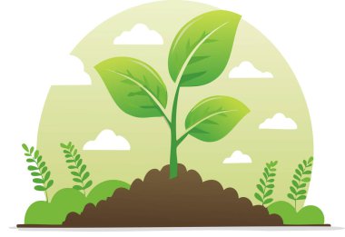 Doğanın arka planında yetişen yeşil bir bitki.