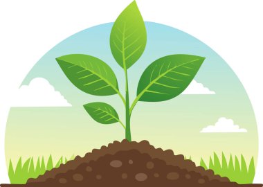 Doğanın arka planında yetişen yeşil bir bitki.