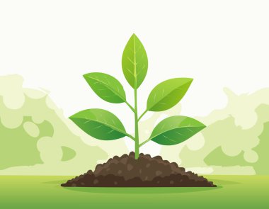 Doğanın arka planında yetişen yeşil bir bitki.