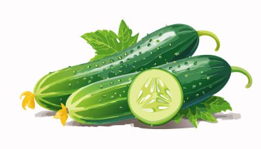 Beyaz arka planda izole edilmiş taze salatalık taşıyıcısı. Yakın plan..