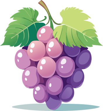 Yumuşak ışıklandırma, nazik gölgeler ve doğadan esinlenilmiş bir palet gösteren eğlenceli bir çizgi film dizaynındaki sulu üzümlerin düz vektör sanatı. Web tasarımı ya da sağlıklı yaşam tarzı promosyonları için mükemmel.