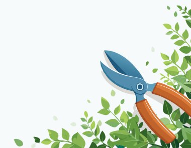 Temiz bir bahçe düzeninde yer alan yapraklı kenar.