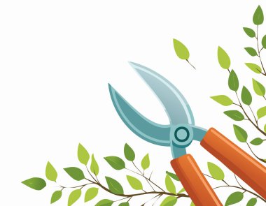 Köşelerde makas ve bitki yapraklarıyla bahçe temalı temiz tasarım