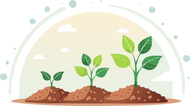 Resmedilmiş düz bir sahnede bitki yetiştirme aşamaları. Yaprak boyutları ve toprak rengi ilerlemeyi gösteriyor, doğa ve iklim temaları için ideal.