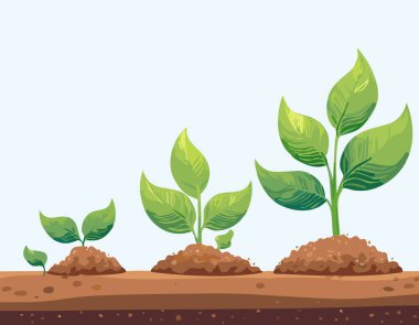 Topraktaki bitki yetiştirme aşamalarının basit bir gösterimi. Temiz ve minimum bir şekilde. Yeşil yapraklar ve taze toprak, doğal gelişimi ve çevre dostu kavramları temsil eder..