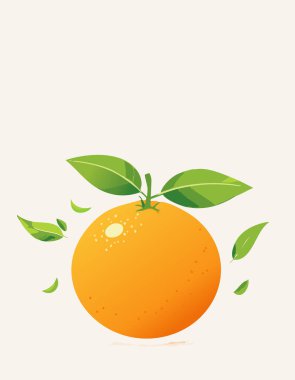 Düz yuvarlak şekilli, yuvarlak şekilli turuncu meyve, minimum detaylar, ve pürüzsüz yüzey, parlak yeşil yapraklarla kaplı, yumuşak gölgeli ve açık alanlı parlak bir arka planda düzenlenmiş..