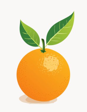 Saf turuncu, noktalı cilt ve minimum gölgelendirme, yapraklı gövde ile kaplı, yumuşak turuncu ton saf beyaz bir arka plana zıt, açık ve neşeli bir estetik verir.