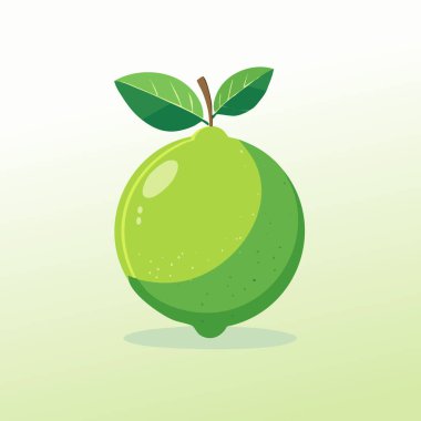 Yeşil kireç meyvesi pürüzsüz yüzey ve stilize yapraklar, beyaz arka planda taze, gerçekçi olmayan düz stil, modern dijital gıda sanatı.