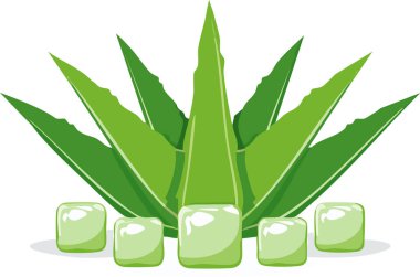 Dilimlenmiş küp küp jel, düz renk tonları ve parlak beyaz arka planda pürüzsüz kenarları olan, sağlık ve cilt bakımı için mükemmel biçimli aloe vera bitkisi..