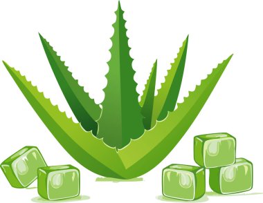 Aloe vera yaprakları ve jel küplerinin modern illüstrasyonu, yeşil tonlarda minimalist ve gerçekçi olmayan tasarım, yumuşak gölge ve metin için boşluk ile düzenlenmiştir..