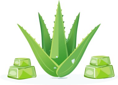Kalın yeşil yaprakları ve şeffaf jel küpleri olan basit aloe vera çizimi, temiz gölgeli, kopyalama alanı olan beyaz bir arkaplanda izole edilmiş, minimal düz bir şekilde tasarlanmıştır..