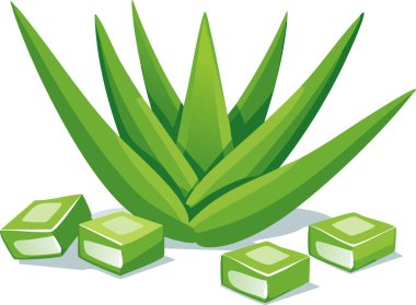 Kesik jöle küpleri, gevrek yaprak şekilleri ve dengeli kompozisyonu ile düz beyaz arka plan, dijital cilt kavramları için ideal.