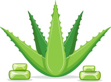 Dilimlenmiş yeşil jel küpleri, kalın şekilleri ve ana hatları olmayan basit düz dizayn edilmiş bitkisel aloe vera bitkisi, görsel derinlik için yumuşak gölge..