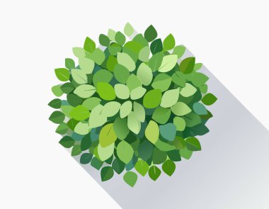 Yukardan görünen yuvarlak yapraklı çalılar, yeşil yaprakların farklı tonlarında dijital sanat, pürüzsüz beyaz arkaplan, doğal temalı planlar için ideal..