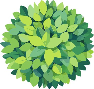 Düz sanat tarzında basit yuvarlak çalı, canlı yeşil yaprak kümeleri, beyaz arka plan ve yumuşak gölgeler, ağ ve basılı doğa görselleri için harika.