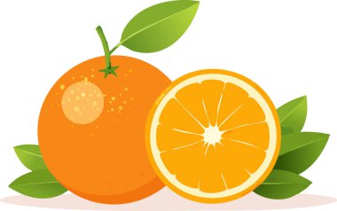 Taze portakallar ve parlak kabuklu sulu dilimler ve temiz beyaz arka planda yeşil yapraklar, yumuşak gölgeli modern düz stil, sağlıklı narenciye tasarımları için mükemmel..