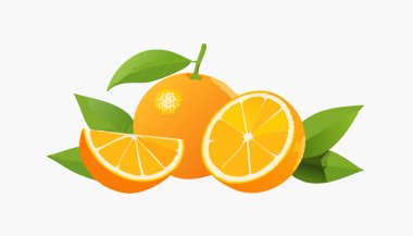 Portakalların tamamını gösteren modern narenciye tasviri ve düzgün dilimlenmiş yarısı, yeşil yapraklar, yumuşak gölgeler, parlak yeni tarz için temiz beyaz arkaplan.