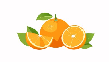 Turuncu meyve kompozisyonu, tam portakal ve yarım dilimler, minimum gölgeleme, yeşil yapraklar, beyaz arka plan, taze ve basit narenciye çizimleri..