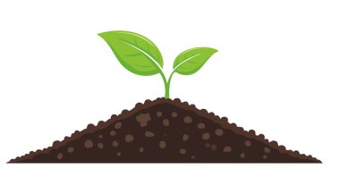 Tomurcuklanan bir bitkinin basit modern sanatı yeni yaşam sürecini sembolize ediyor ve boş arkaplanda dokulu bir zeminde duran umut metni yerleştirmek için esnek bir oda sunuyor.