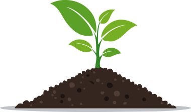 Yeni botanik sahnesi, sağlıklı yaşam için hazır minimalist beyaz alanlarla çevrili besleyici topraklara kök salmış küçük gövde ve canlı yaprakları gösteriyor.