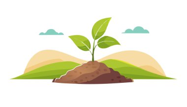 Tepe manzarasında büyüyen yeşil filizler büyüme ortamını ve sürdürülebilirliği simgeliyor..