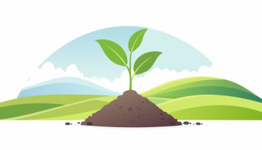 Doğal tepeler ve açık mavi gökyüzüyle çevrili zengin bir dünyada büyüyen küçük bir bitki..