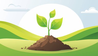 Huzurlu bir kırsal bölgede topraktan filizlenen bir yaprak ile yeni bir yaşam konsepti.