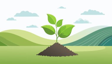 Güneşli bir günde toprak yığınından yeni filizlenen taze bir filizin tasviri.