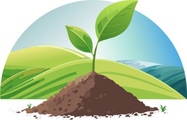 Berrak bir gökyüzünün altında verimli topraktan yetişen genç yeşil bir bitki ve arka planda yuvarlanan tepeler var..