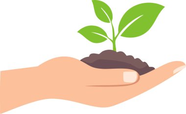 Topraktan çıkan küçük yeşil bitkilerle nazik el çizimi, gerçekçi olmayan stil, basit renk paleti