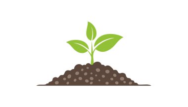 Zeminden taze yeşil yapraklar yükseliyor. Çevre dostu yaşamı ve tarımı simgeliyor.