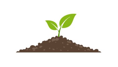 Kahverengi toprakta filizlenen bir tohumun basit bir örneği, büyümeyi, sürdürülebilirliği, bahçıvanlığı gösteriyor