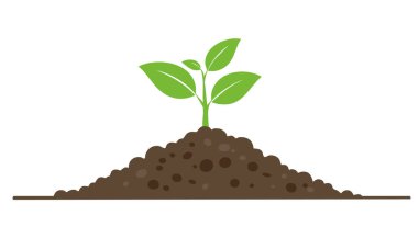 Toprakta büyüyen iki yapraklı yeşil filizlenme ekolojiyi, doğayı ve yaşam döngüsünü resmediyor.