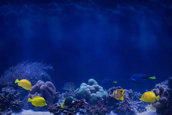Абстрактний Підводний Фон Жовтими Рибами — стокове фото
