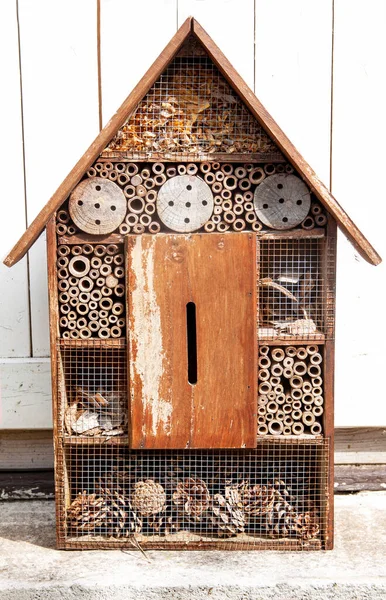 Haus Für Bienen Und Insekten Zum Anfassen — Stockfoto