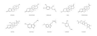 Farklı hormon simgeleri seti. Estradiol, progesteron, testosteron, adrenalin, DHEA, kortizol, dopamin, serotonin, melatonin, tiroksin kimyasal moleküler yapı. Vektör özet çizimi
