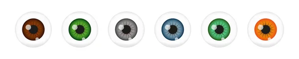 Set Menschlicher Augenbälle Mit Braunen Grünen Grauen Blauen Pupillen Auf — Stockvektor
