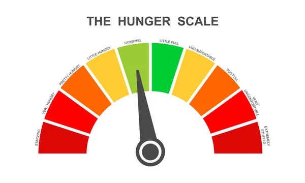 饥饿度量衡作为带箭头的拨号盘 食物的饱和度 Ghrelin和Leptin平衡表 对体重减轻的食欲调节 矢量平面插图 — 图库矢量图片