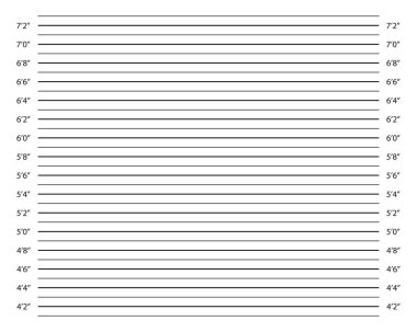 Inches height chart for police photo shoot of wanted, arrested or suspected person identification. Line up mugshot template. Empty background for perpetrator profile. Vector graphic illustration.