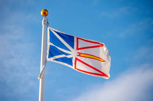 Flag Newfoundland Labradour Flagpole Blue Sky — Stock fotografie